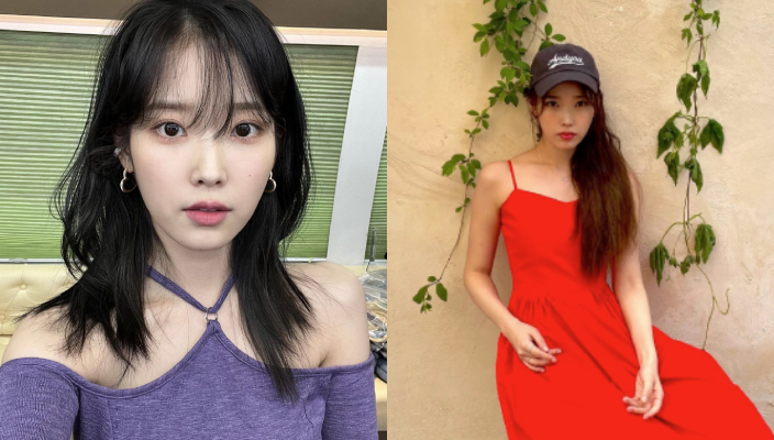 七仙羽師傅-2024龍年12生肖運勢